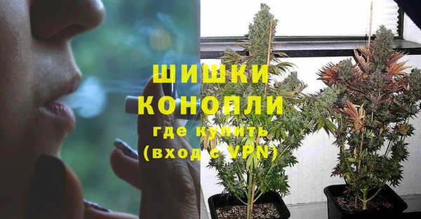 ГАЛЛЮЦИНОГЕННЫЕ ГРИБЫ Бронницы