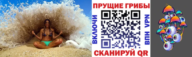Псилоцибиновые грибы Cubensis Межгорье